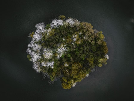 mentoría personalizada mentoría personalizada