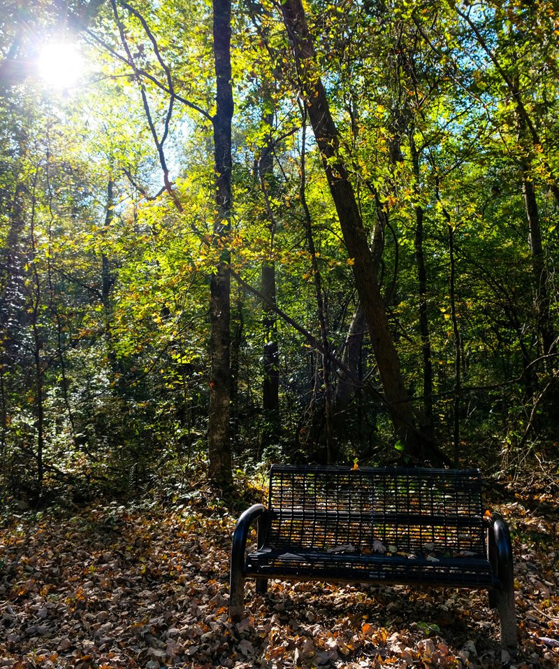 psicólogos Las Palmas